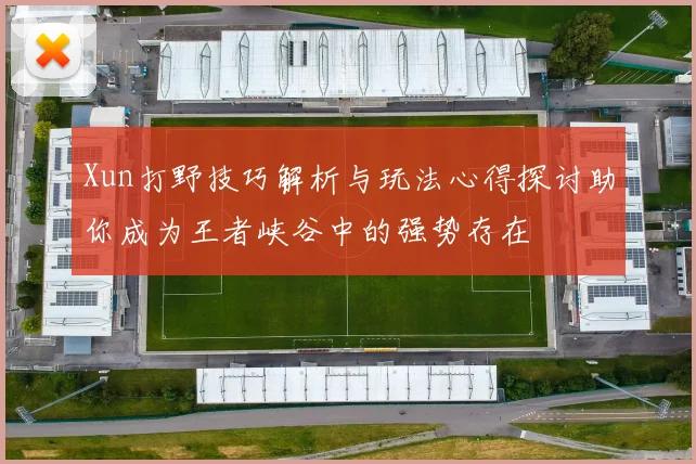 Xun打野技巧解析与玩法心得探讨助你成为王者峡谷中的强势存在