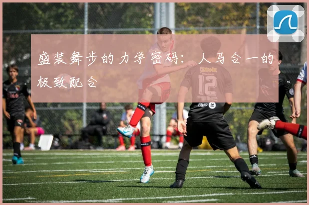 盛装舞步的力学密码：人马合一的极致配合