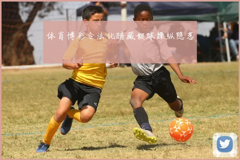 体育博彩合法化暗藏假球操纵隐患