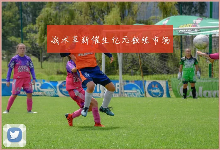 战术革新催生亿元教练市场
