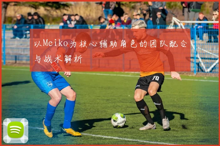 以Meiko为核心辅助角色的团队配合与战术解析