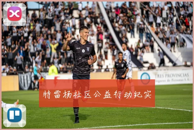 特雷杨社区公益行动纪实