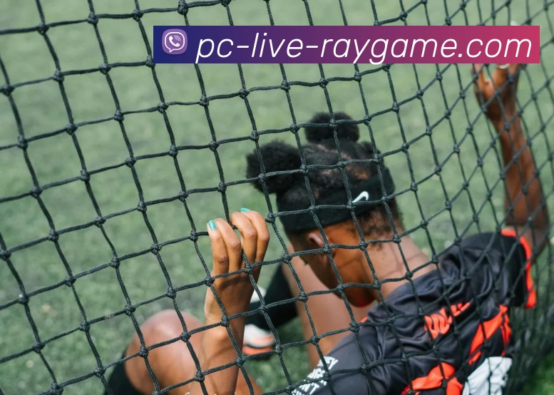 雷竞技官网平台生态图