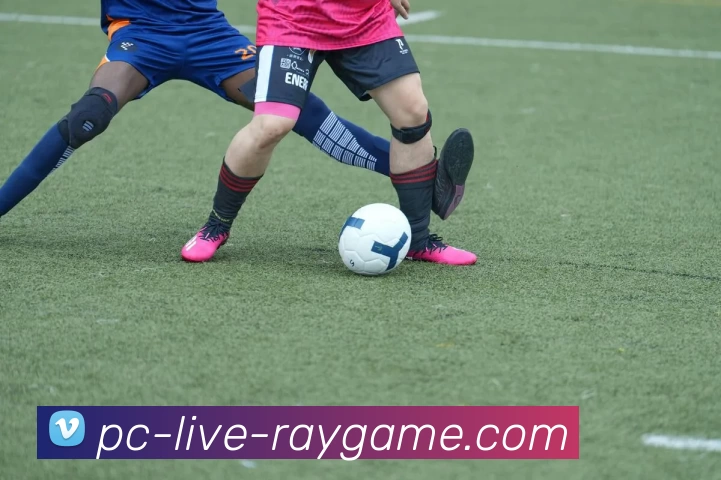 雷竞技官网全站App